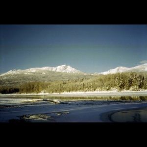 Meet your Posher, Diane